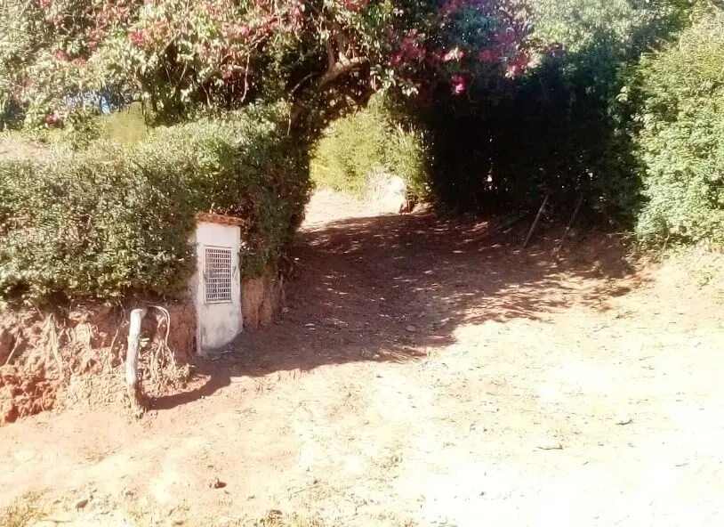 Foto 5 de Terreno de 1.630 m² em área arborizada, Ponte Alta