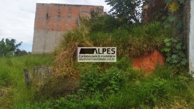Foto 1 de Terreno de 100 m² no Loteamento Bahamas, Novo Horizonte