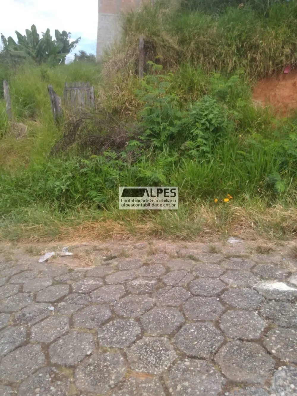 Foto 2 de Terreno de 100 m² no Loteamento Bahamas, Novo Horizonte