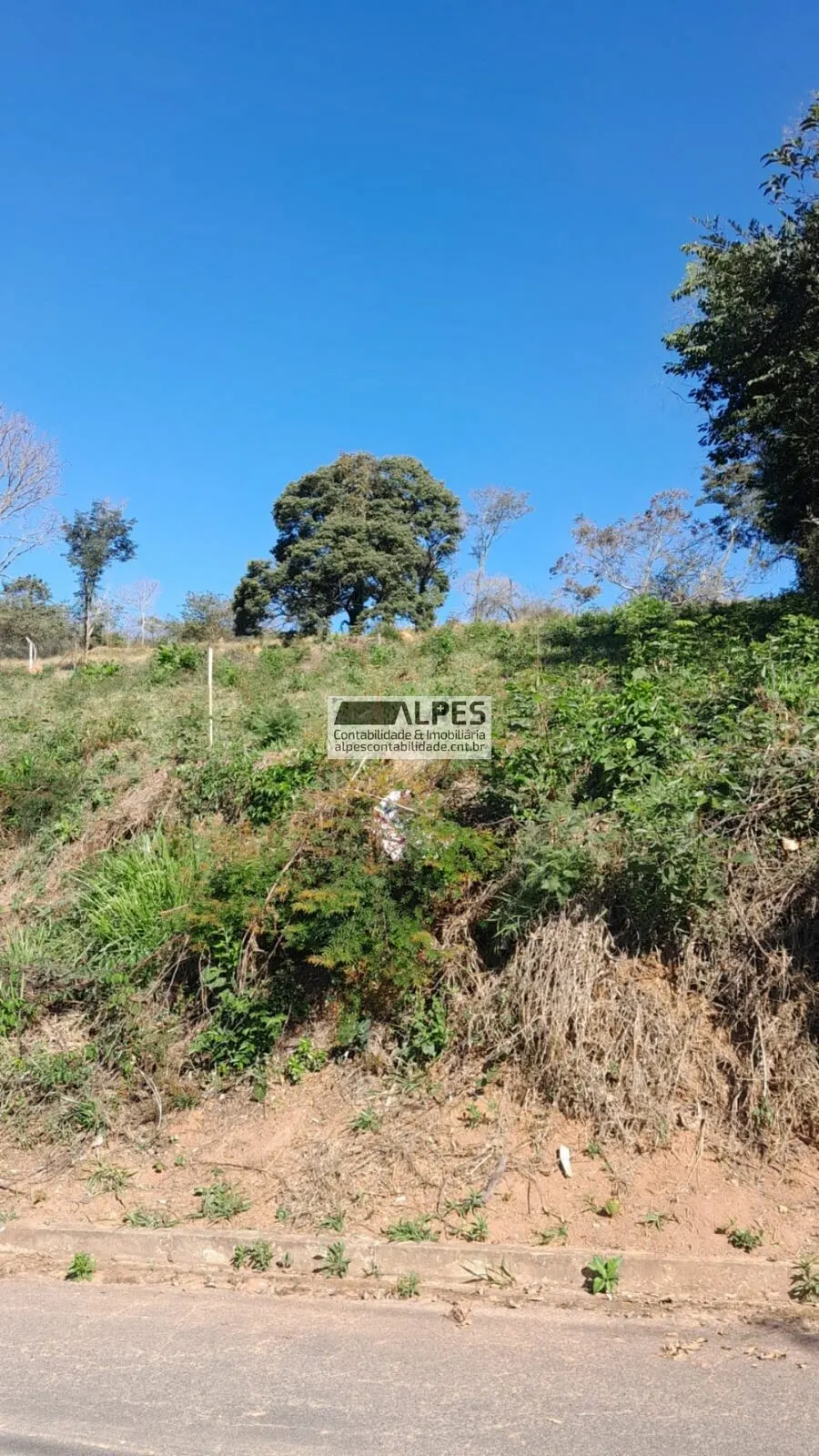 Foto 5 de Terreno de 2.000 m² com 40 m de frente na Rua Alemanha, Nações