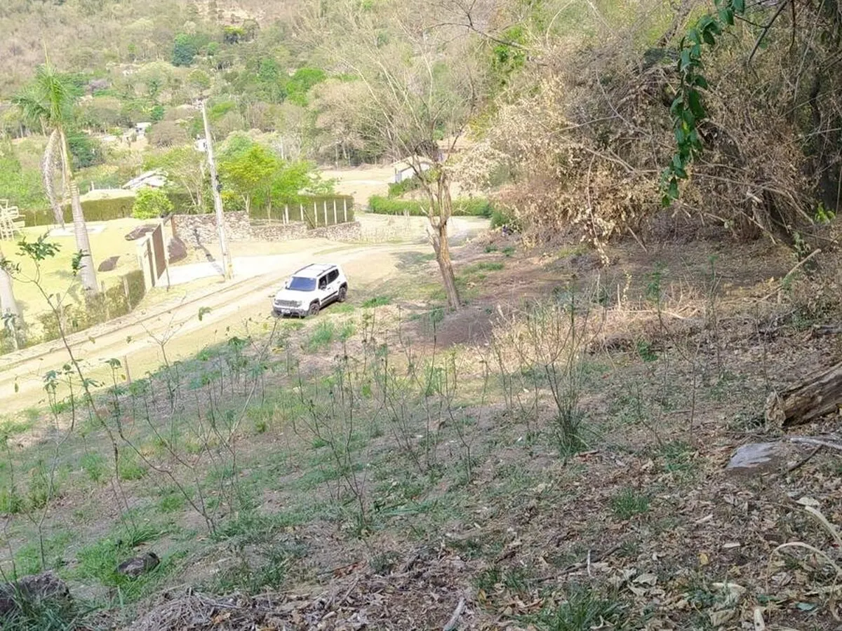 Foto 2 de Terreno de 2.149 m² com vista e projeto arquitetônico, Mato Dentro
