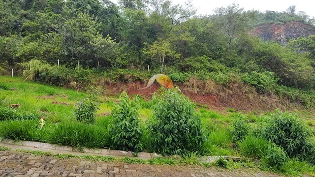 Foto 1 de Terreno de 252 m² no loteamento, Vale das Hortênsias