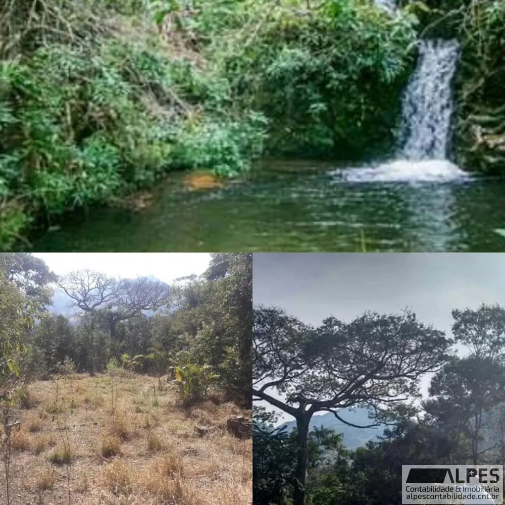Foto 2 de Terreno de 3.500 m² com mata e água em abundância, Pedra Preta