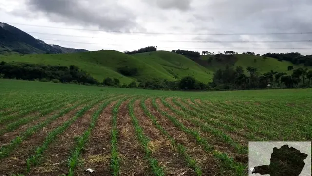 Foto 1 de Terreno de 30.000 m² para plantio com rio no fundo, Freires