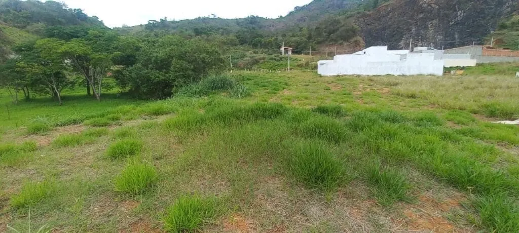 Foto 3 de Lote de 351,90 m² no Loteamento Vale das Hortênsias, Vale das Hortênsias