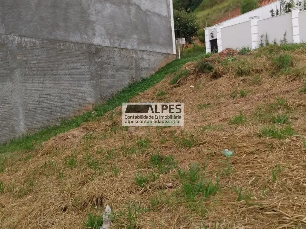 Foto 5 de Terreno de 381 m² com 14 m de frente, Pinheirinho