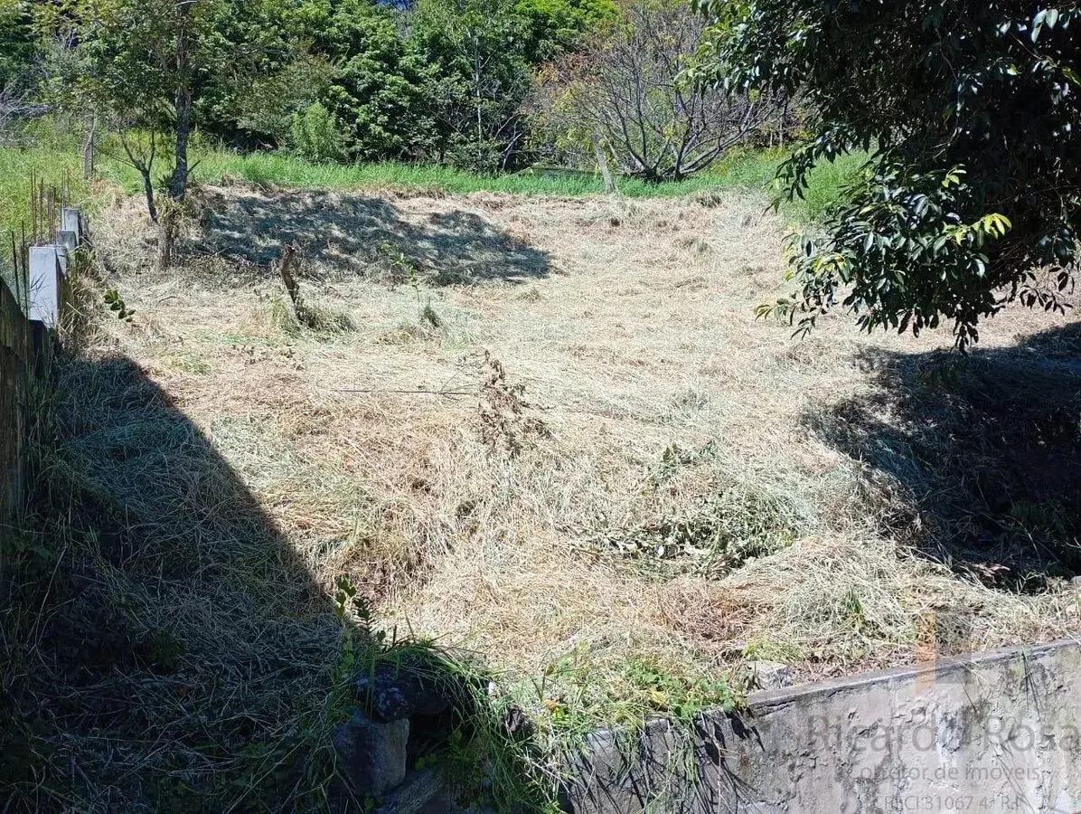 Foto 2 de Terreno de 420 m² com muro e vista da cidade, Bela Vista (Medicina)