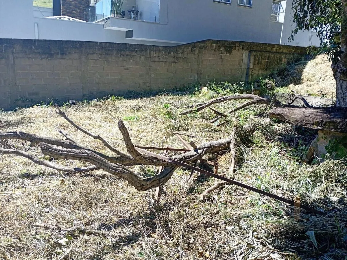 Foto 6 de Terreno de 420 m² com muro e vista da cidade, Bela Vista (Medicina)