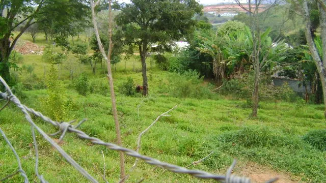 Foto 1 de Terreno de 420 m² em rua em calçamento, Jardim Alterosa