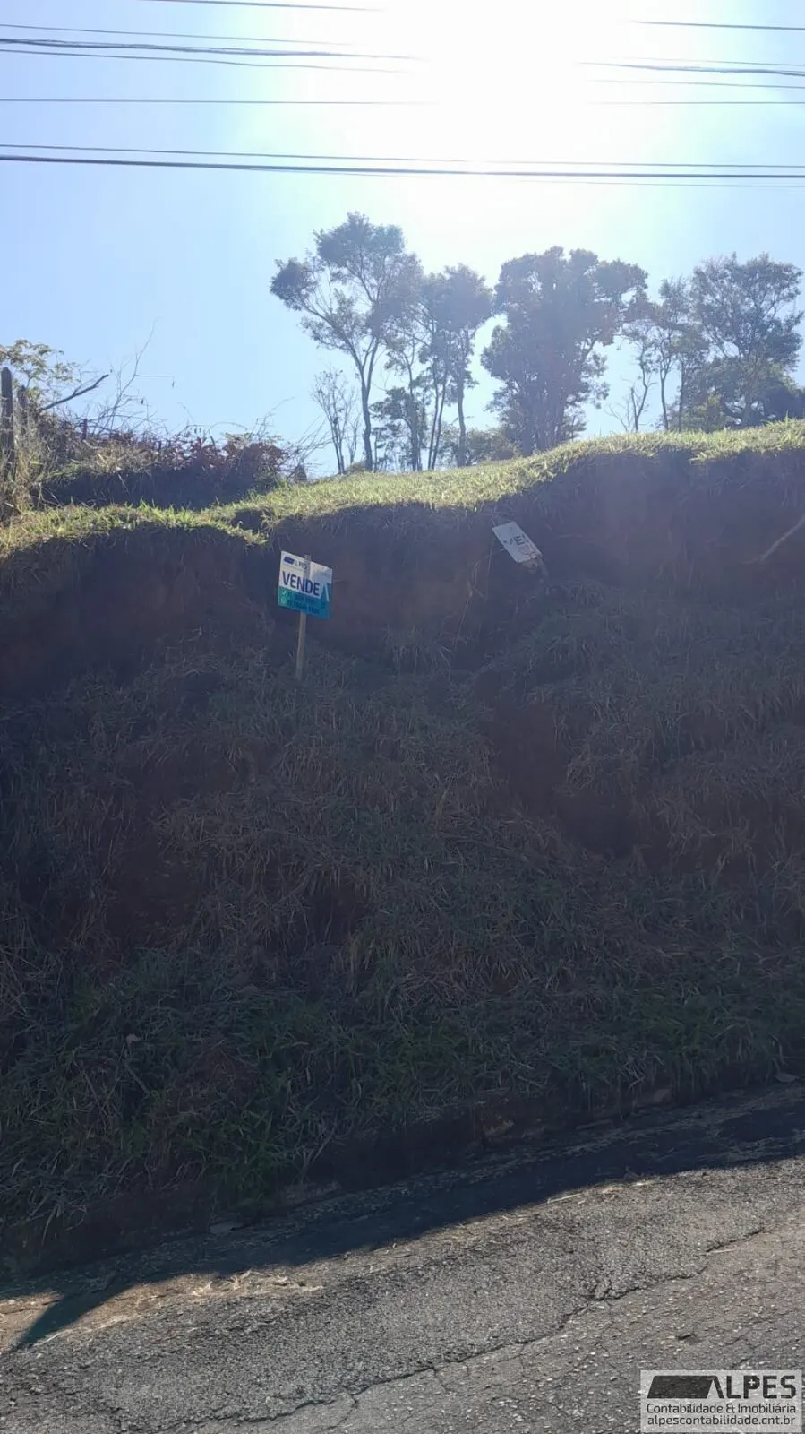 Foto 2 de Terreno de 420 m² na Rua José Pereira Rennó, Morro Chic