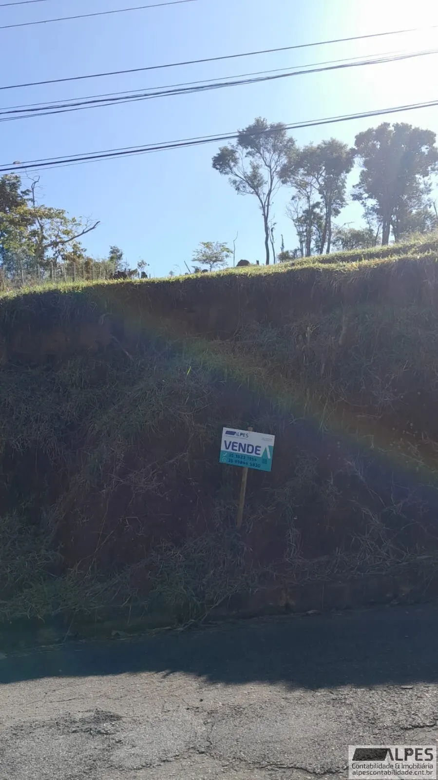 Foto 3 de Terreno de 420 m² na Rua José Pereira Rennó, Morro Chic