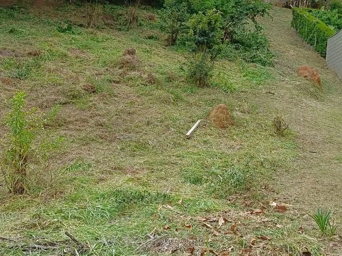 Foto 6 de Terreno de 450 m² em aclive, em rua sem saída, Pinheirinho