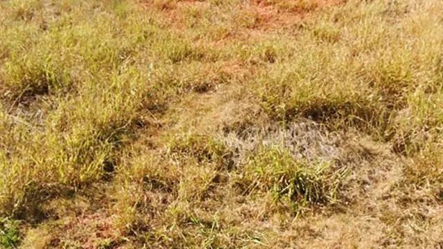 Foto 1 de Terreno de 467,25 m² em rua asfaltada, Pinheirinho