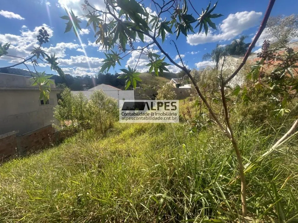 Foto 4 de Terreno de 490 m² com 13,27 m de frente, Pinheirinho