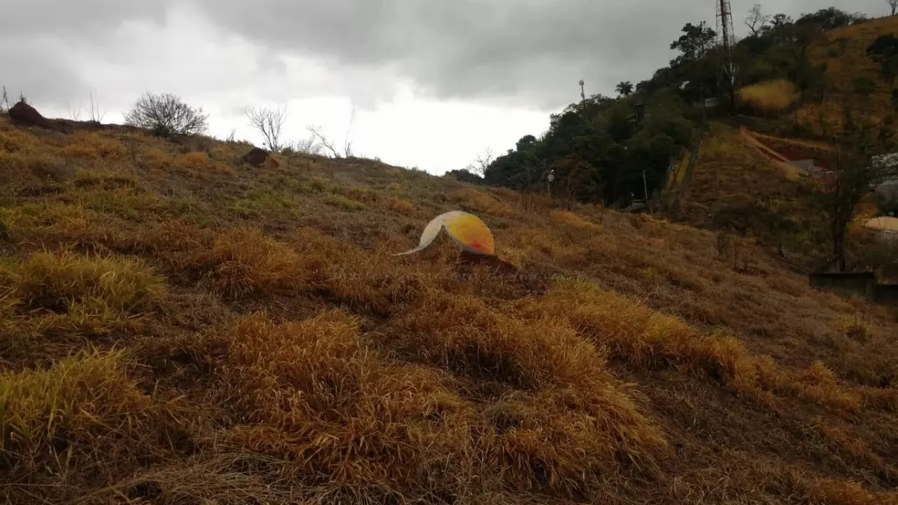Foto 6 de Terreno de 5.307 m² com saída para 2 bairros, Jardim América
