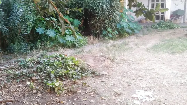 Foto 1 de Terreno de 535 m² próximo ao Colégio João XXIII, Varginha