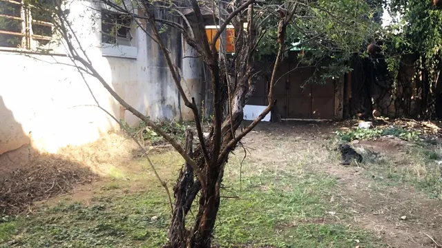 Foto 1 de Terreno de 535 m² com possibilidade de prédio ou galpão, Varginha