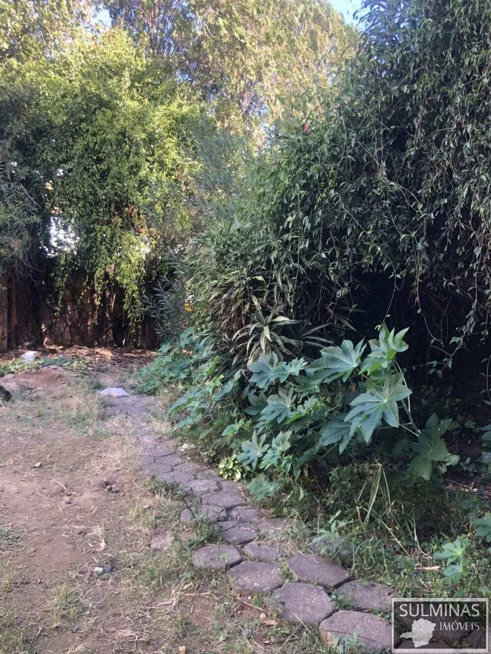 Foto 3 de Terreno de 535 m² com possibilidade de prédio ou galpão, Varginha