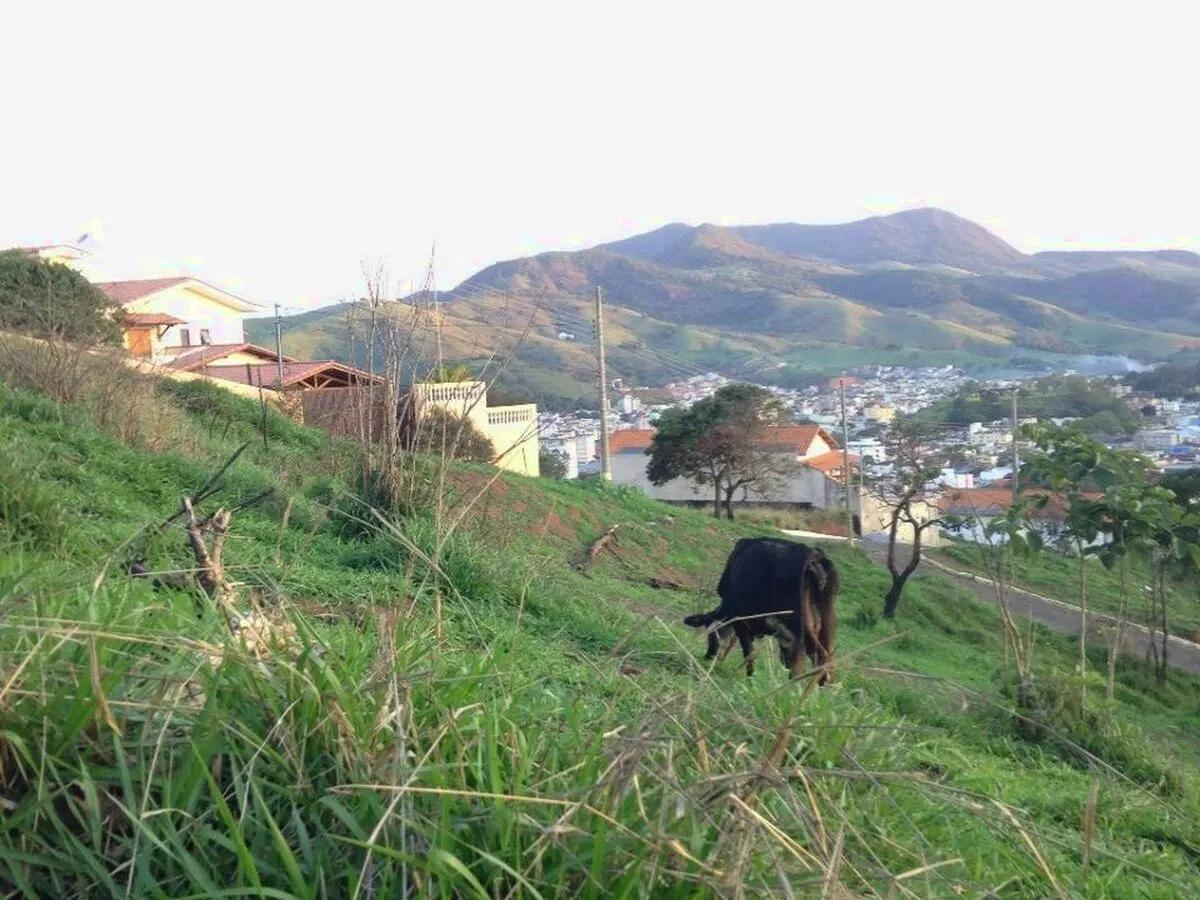 Foto 2 de Terreno de 578,40 m² com vista para a cidade e projeto aprovado, Morro Chic