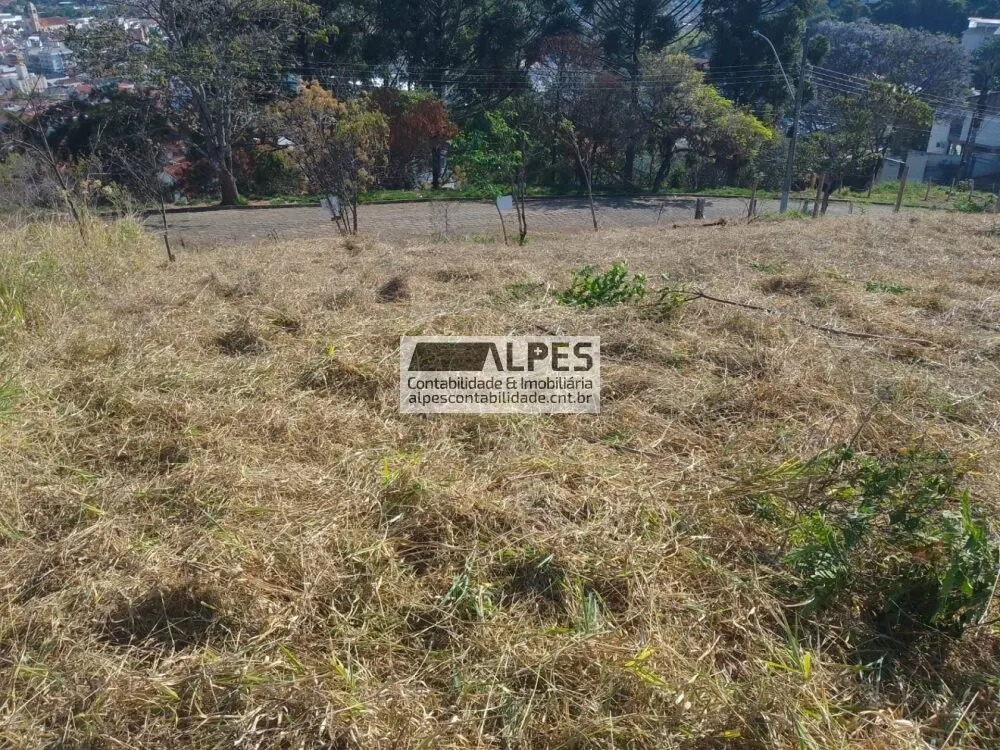 Foto 2 de Terreno de 587 m² com 19 m de frente e vista da cidade, Morro Chic