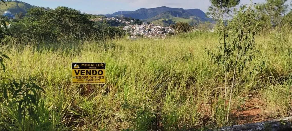Foto 2 de Terreno de 600 m² com vista para a serra na Rua Prof. Henrique Marques, Pinheirinho