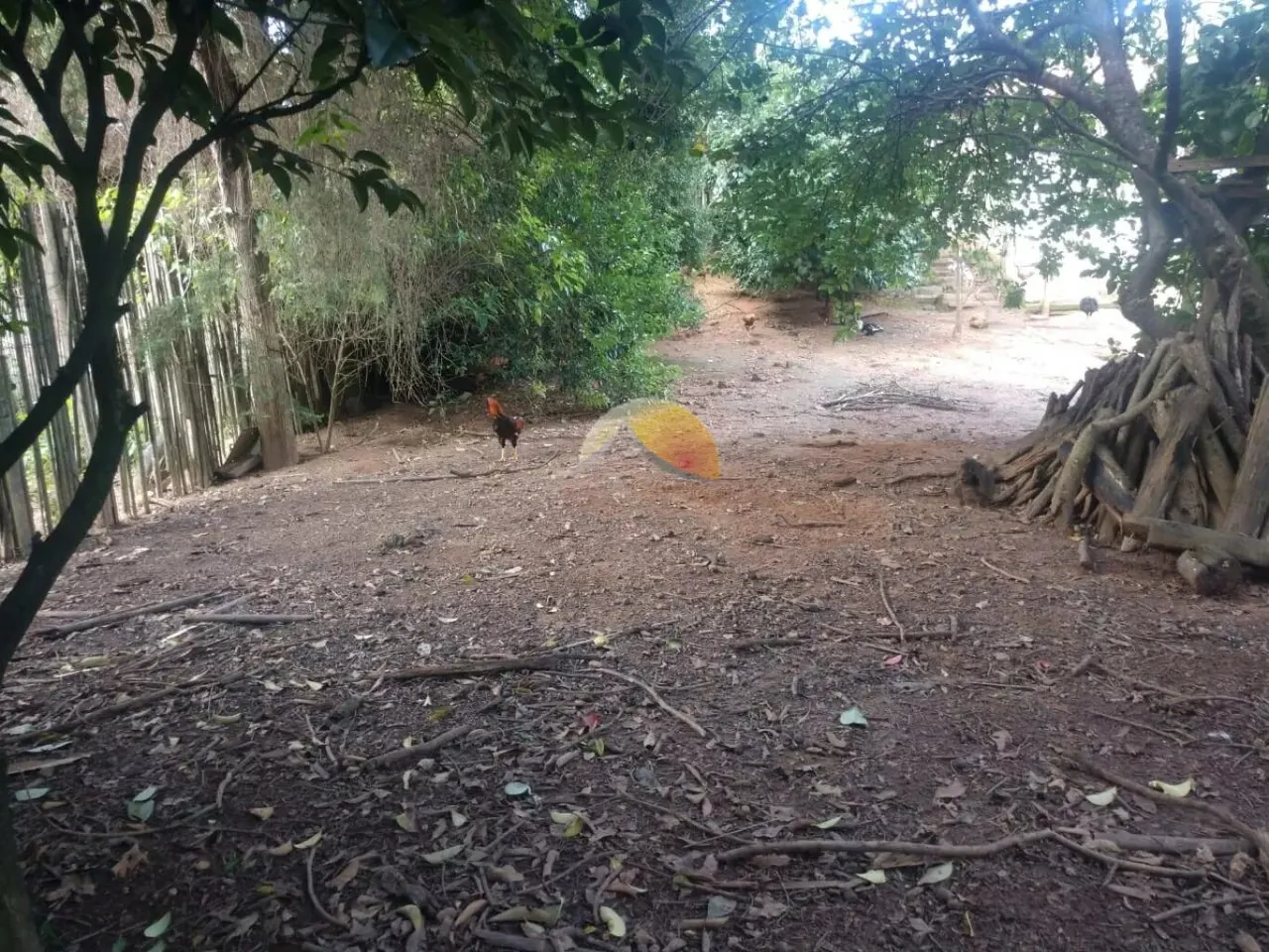 Foto 4 de Terreno de 602 m² com documentação ok, Santa Rosa