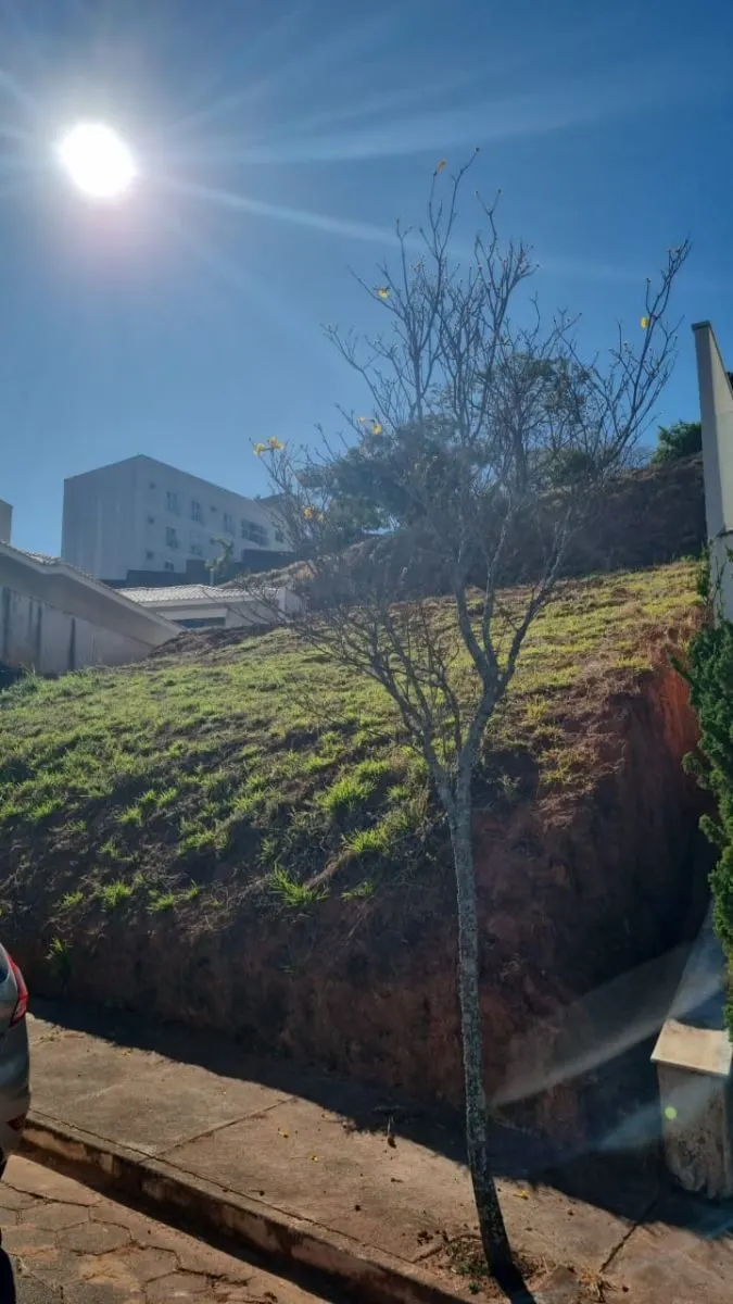 Foto 3 de Terreno de 624 m² no Condomínio Dr. João Luiz, Pinheirinho