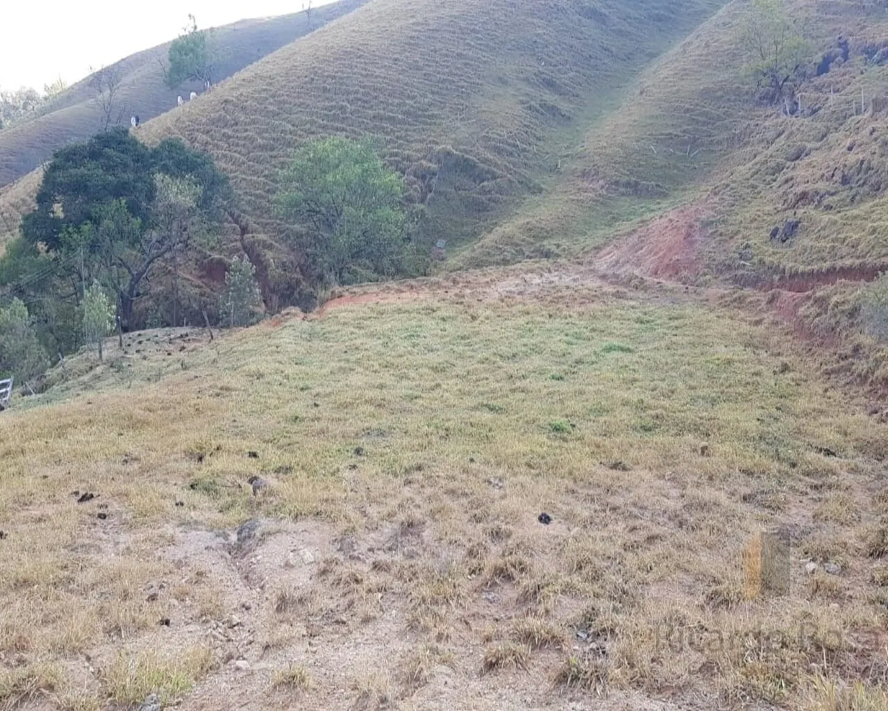 Foto 2 de Terreno de 7.600 m² com área plana e vista, parte alta do Anhumas