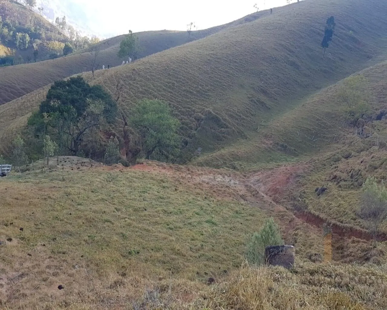 Foto 3 de Terreno de 7.600 m² com área plana e vista, parte alta do Anhumas