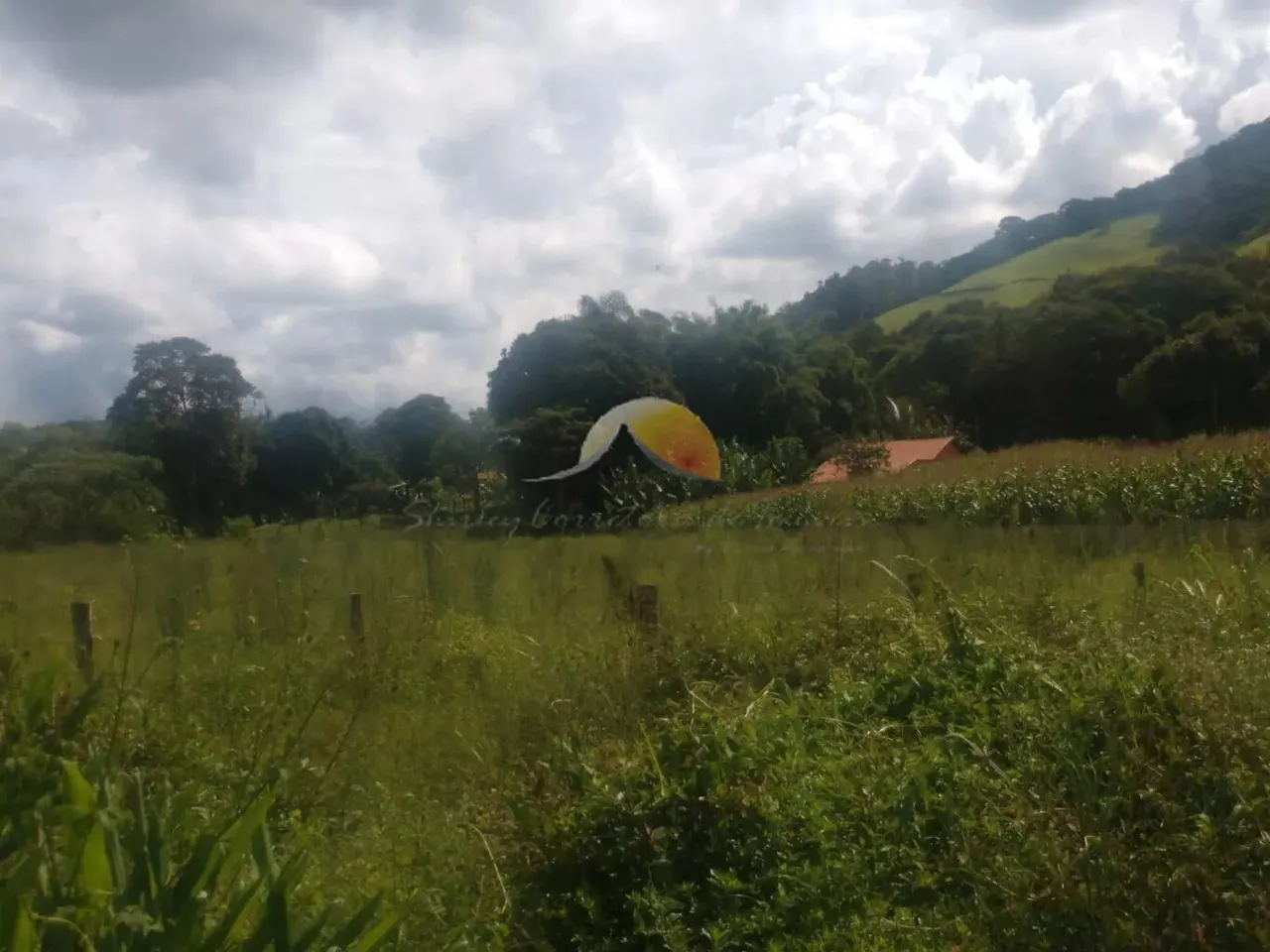 Foto 4 de Terreno de 7.740 m² cercado, com mata ao fundo, São Pedro
