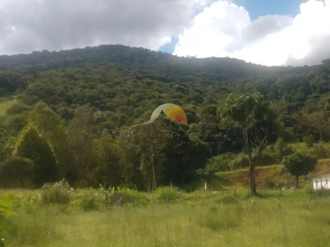 Foto 5 de Terreno de 7.740 m² cercado, com mata ao fundo, São Pedro