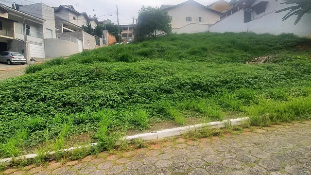Foto 1 de Terreno de 700 m² em rua asfaltada, Pinheirinho