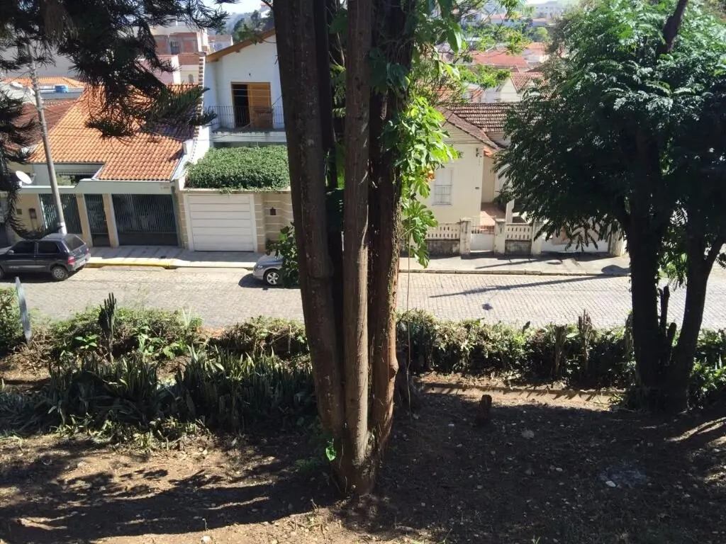 Foto 2 de Terreno urbano para prédio ou conjunto de casas, Morro Chic