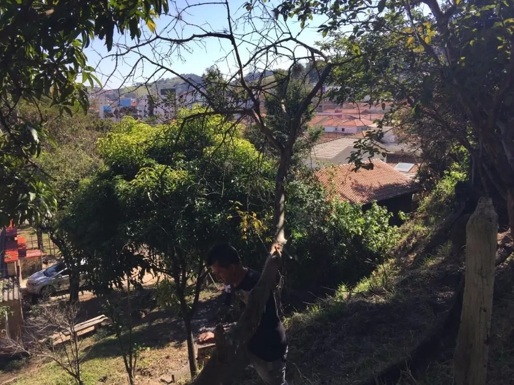 Foto 3 de Terreno urbano para prédio ou conjunto de casas, Morro Chic
