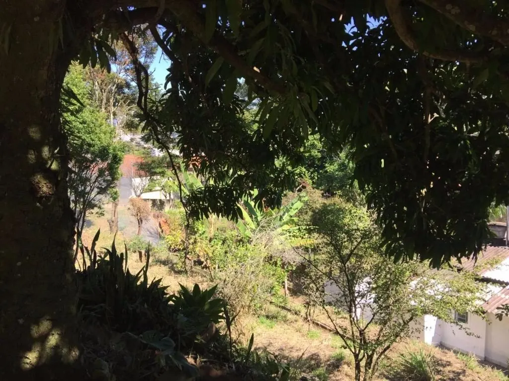 Foto 7 de Terreno urbano para prédio ou conjunto de casas, Morro Chic