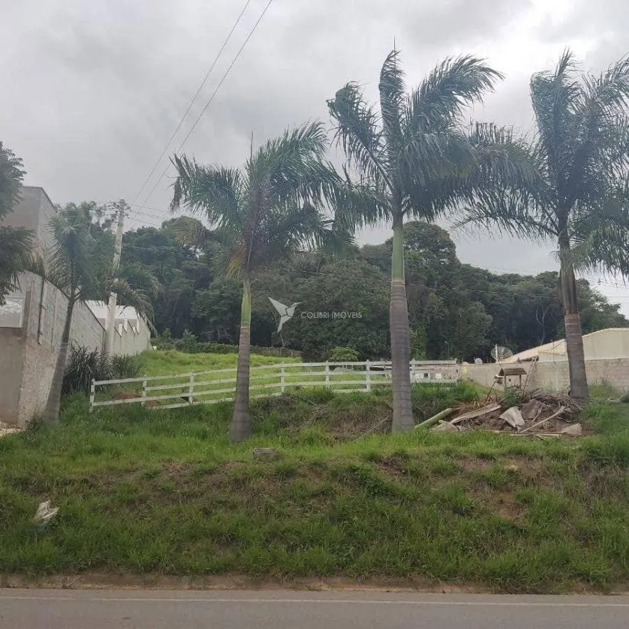 Foto 2 de Terreno de 825 m² com palmeiras e vista para a serra, Varginha