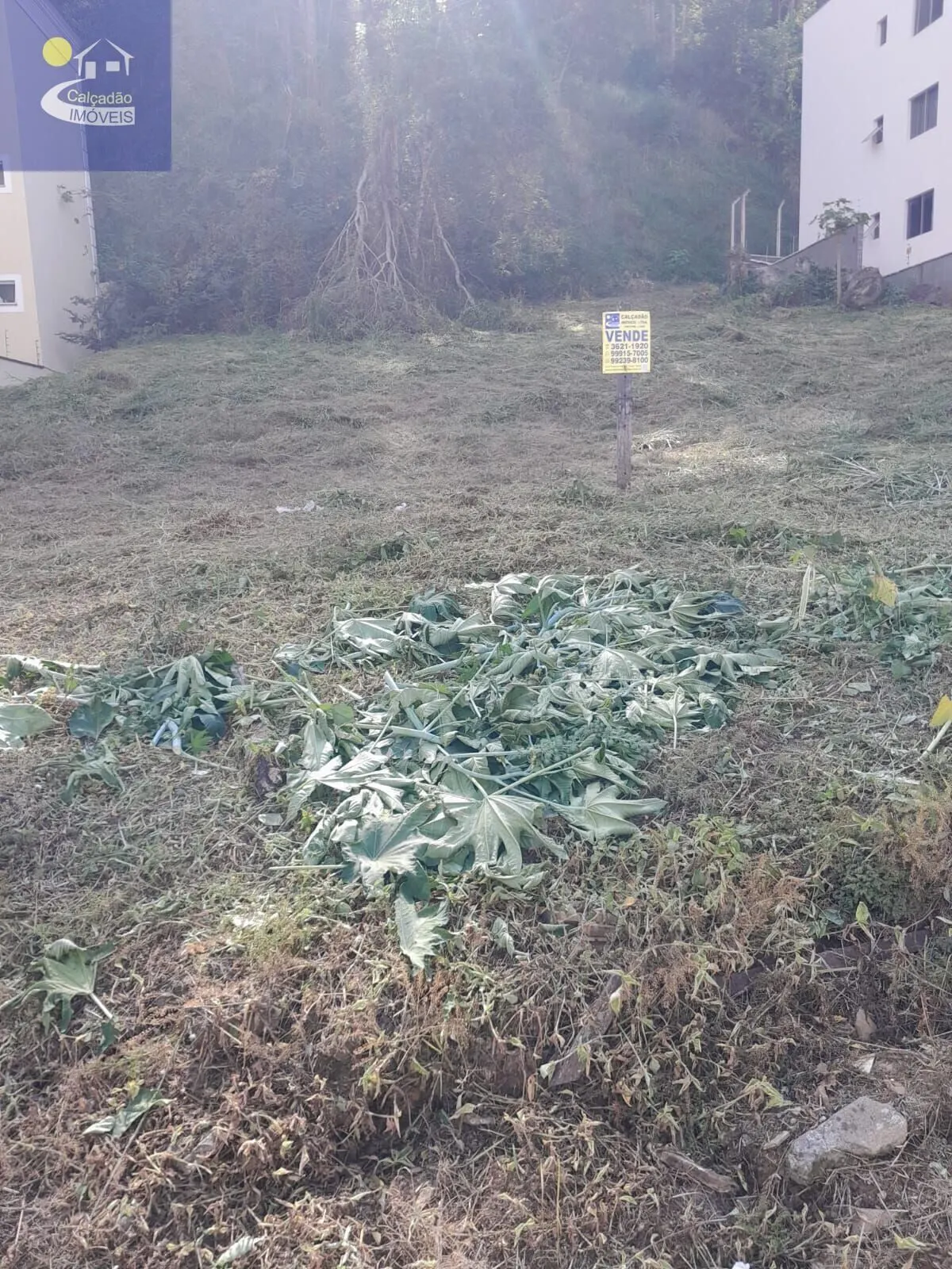 Foto 3 de Terreno de 850 m² escriturado e averbado, Varginha