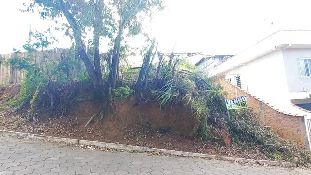 Foto 1 de Terreno de esquina com 245 m² em rua comercial, Bahamas