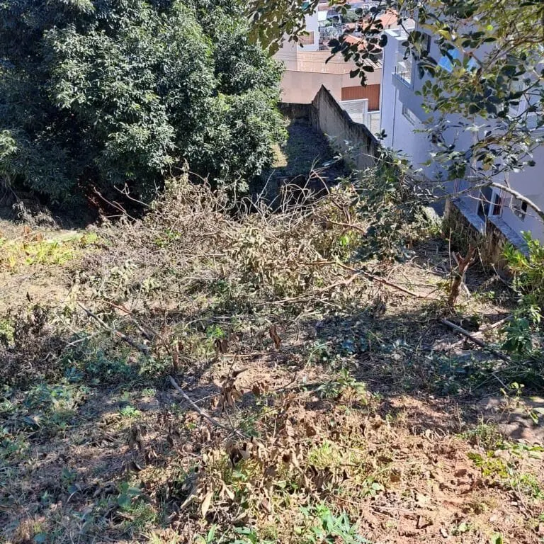 Foto 3 de Terreno murado de 420 m² com portão no Jardim Bela Vista, Medicina