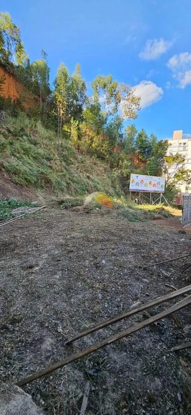 Foto 4 de Terreno em rua asfaltada, ideal para construtoras, Morro Chic