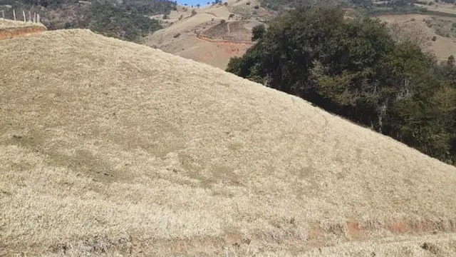 Foto 1 de Terreno rural com rio, nascente e platôs entre Itajubá e Maria da Fé, Goiabal