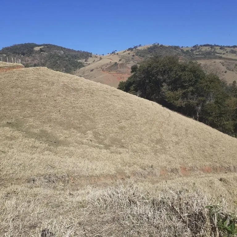 Foto 2 de Terreno rural com rio, nascente e platôs entre Itajubá e Maria da Fé, Goiabal