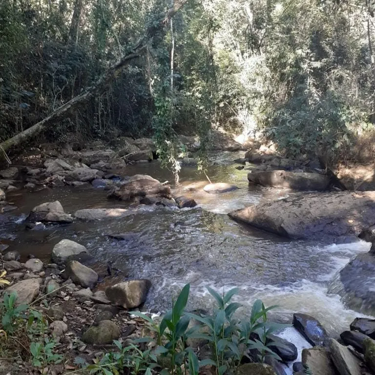 Foto 3 de Terreno rural com rio, nascente e platôs entre Itajubá e Maria da Fé, Goiabal