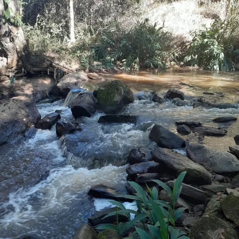 Foto 4 de Terreno rural com rio, nascente e platôs entre Itajubá e Maria da Fé, Goiabal