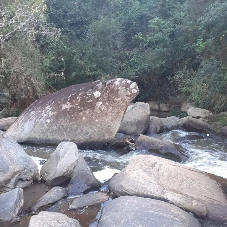 Foto 5 de Terreno rural com rio, nascente e platôs entre Itajubá e Maria da Fé, Goiabal