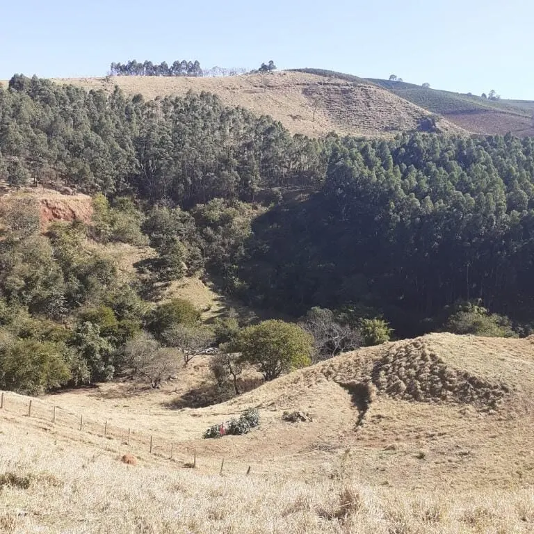 Foto 6 de Terreno rural com rio, nascente e platôs entre Itajubá e Maria da Fé, Goiabal